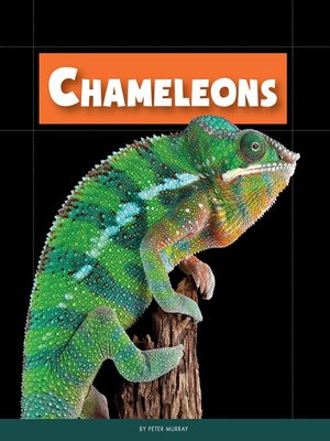 Chameleons - ebook